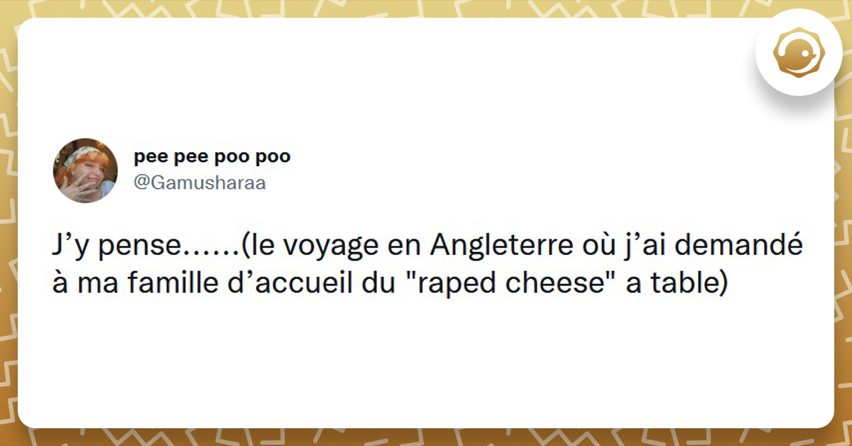 Les 15 Meilleurs Tweets De Gamusharaa Twog