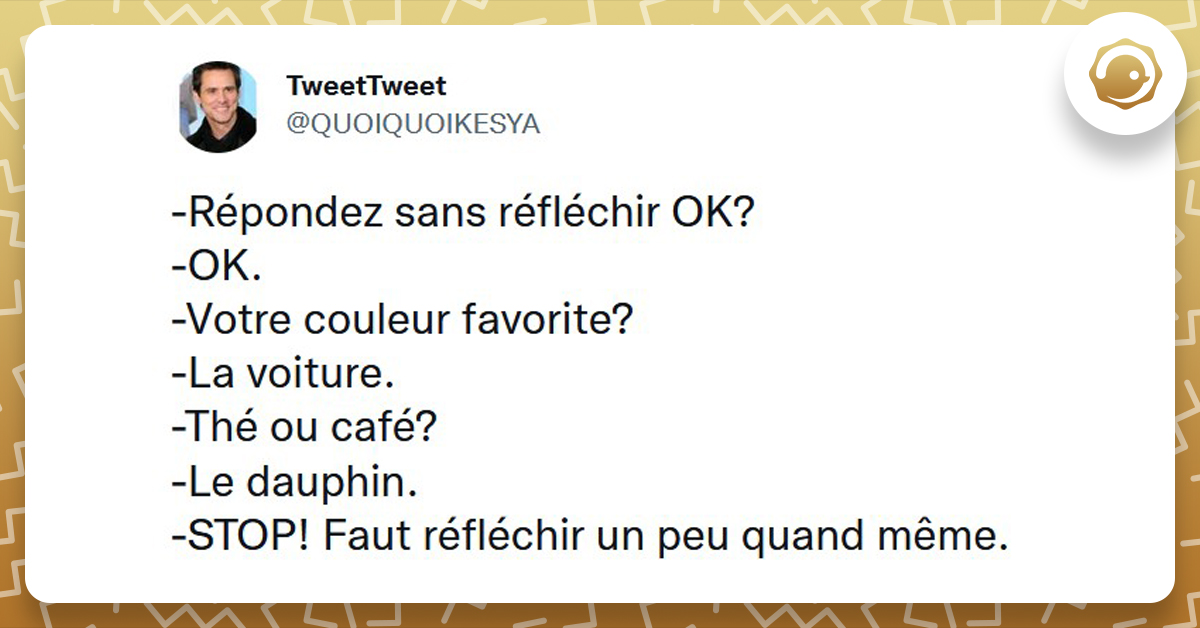 Les Meilleurs Tweets De Quoiquoikesya Twog