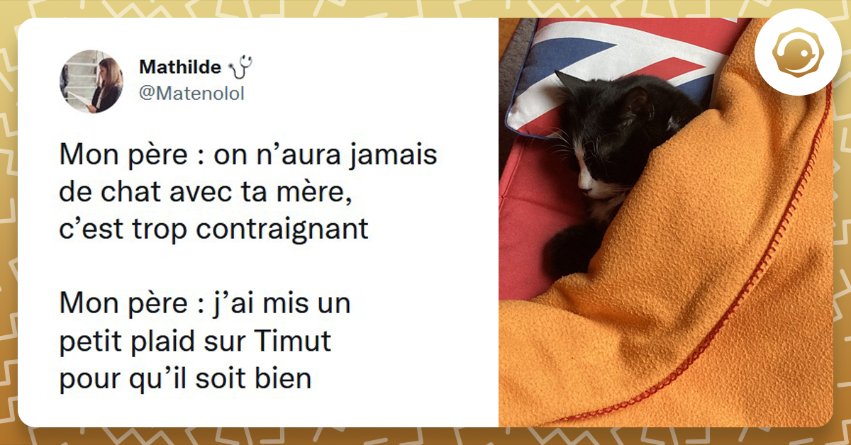 Ces Parents Qui Ne Veulent Pas D Animaux Avant D En Avoir Et De Devenir