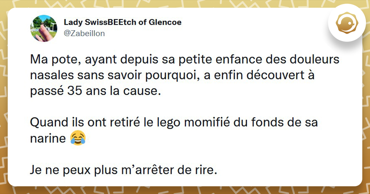 Top 15 Des Meilleurs Tweets Sur Les Lego Twog