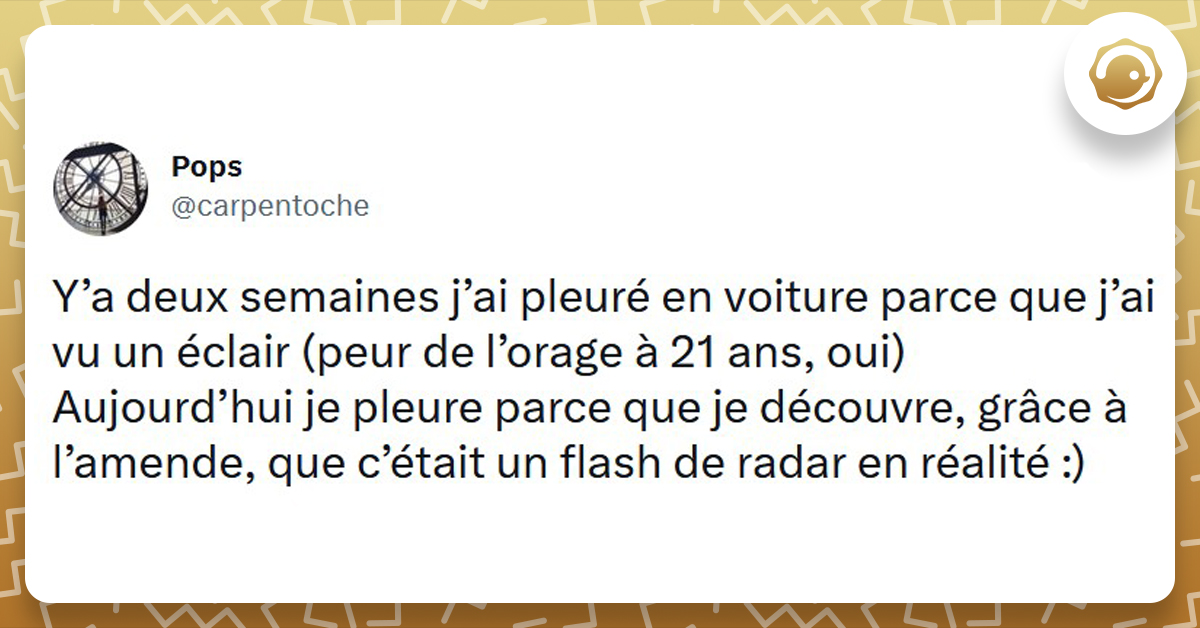 Top Des Meilleurs Tweets Sur Les Radars Twog