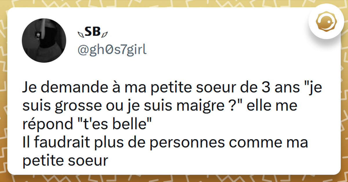 Top Des Meilleurs Tweets Sur Les Petites S Urs Twog