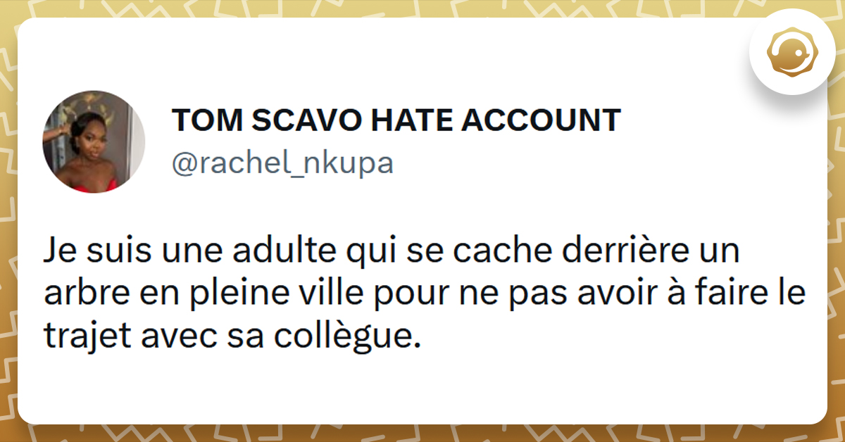 Top Des Meilleurs Tweets Sur Les Coll Gues Twog