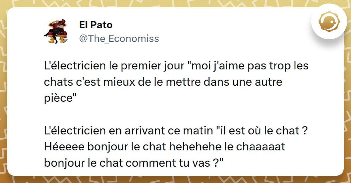 Top 15 des meilleurs tweets sur les électriciens Twog