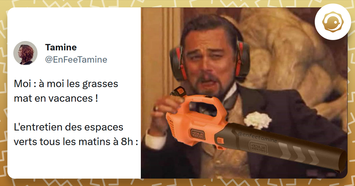 Top 15 des meilleurs tweets sur les grasses matinées Twog