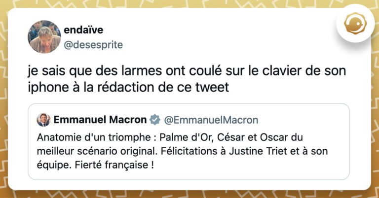 Top 15 Des Meilleurs Tweets Sur Les Lettres De Motivation Aka La Purge