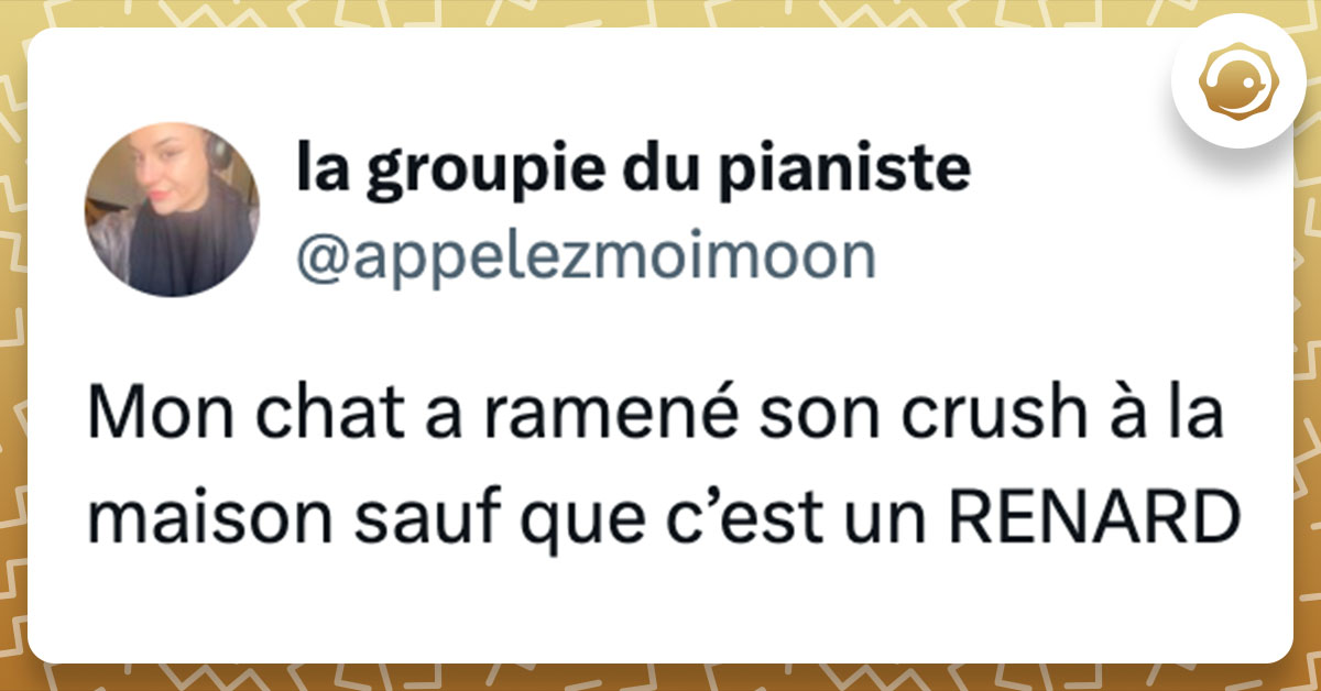 Top 15 des meilleurs tweets à la maison meilleur endroit au monde Twog