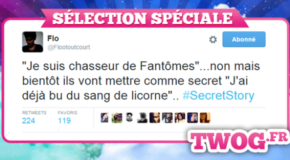 Image de couverture de l'article : Secret Story 9 vu de Twitter