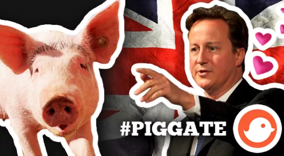 Image de couverture de l'article : Sélection Spéciale | David Cameron et le Cochon #PigGate