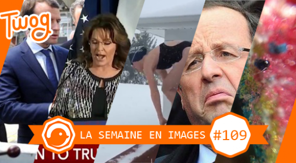 Image de couverture de l'article : La semaine en images | Vol. 109