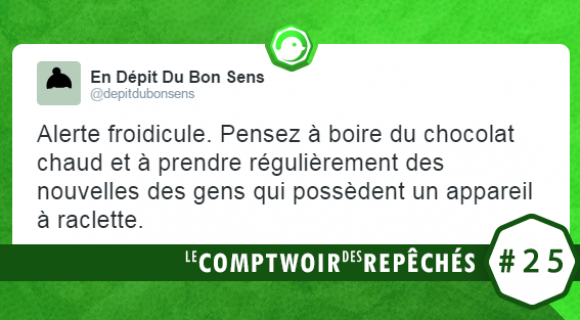 Image de couverture de l'article : Le Comptwoir des Repêchés #25