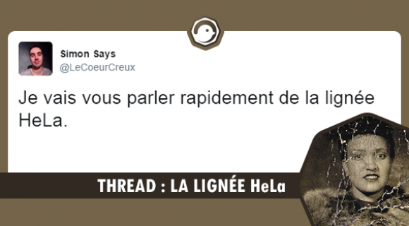 Image de couverture de l'article : Thread : La lignée HeLa