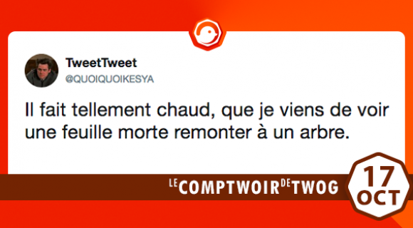 Image de couverture de l'article : Le Comptwoir du 17 octobre 2017 : les meilleurs tweets