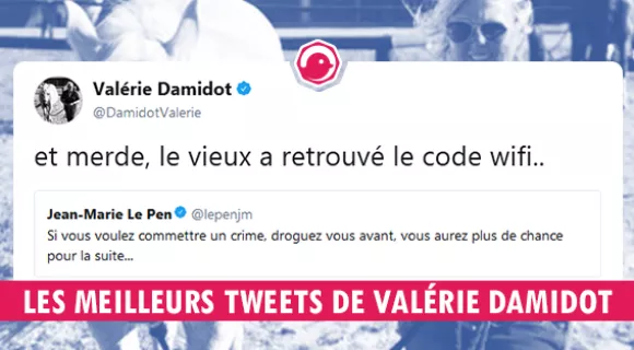 Image de couverture de l'article : Les meilleurs tweets de Valérie Damidot