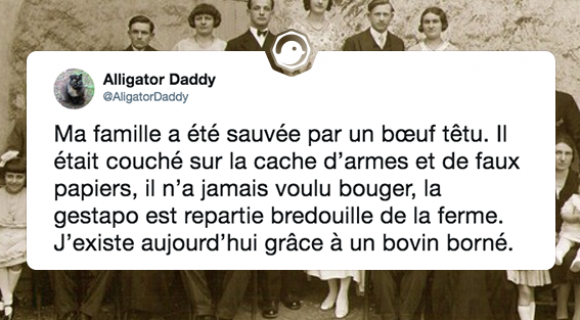 Image de couverture de l'article : Top 20 des plus belles anecdotes de famille