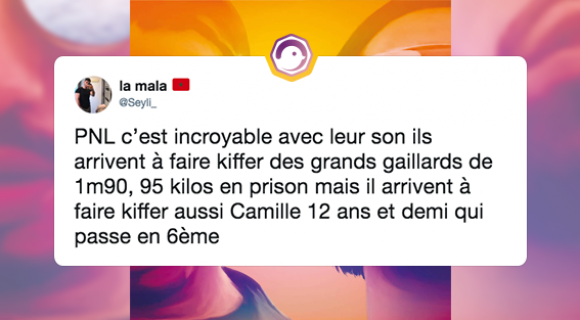 Image de couverture de l'article : Sélection spéciale PNL : les meilleurs tweets