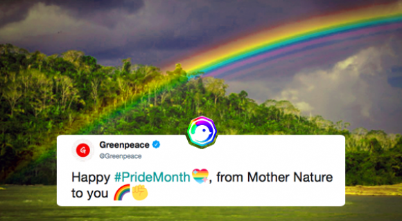 Image de couverture de l'article : Twitter fête le Pride Month