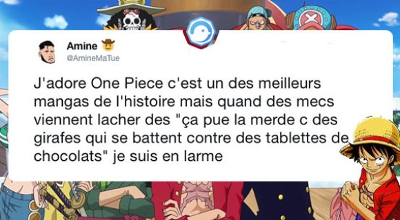 Image de couverture de l'article : Sélection spéciale One Piece