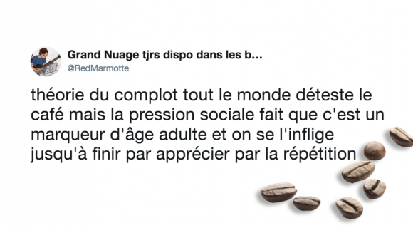 Image de couverture de l'article : Top 15 des meilleurs tweets sur le café, cette boisson horrible