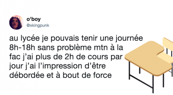 Image de couverture de l'article : Top 20 des meilleurs tweets sur la fac