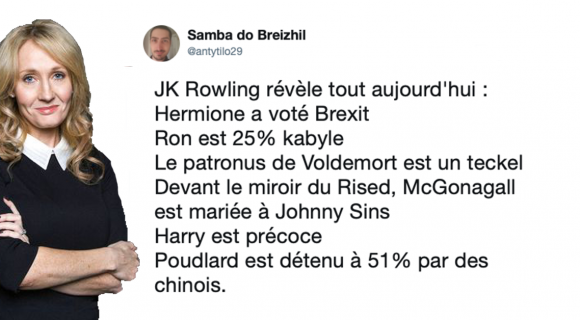 Image de couverture de l'article : Les révélations constantes de J.K Rowling sur Harry Potter irritent les fans