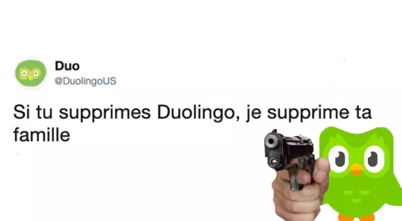 Image de couverture de l'article : Les 22 meilleurs tweets sur Duolingo, l’application pour apprendre les langues si señor