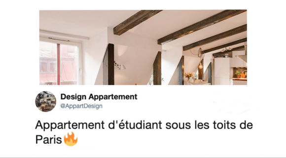 Image de couverture de l'article : L’appartement type d’un étudiant parisien, entre luxe et volupté