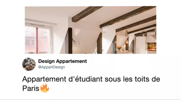 Image de couverture de l'article : L’appartement type d’un étudiant parisien, entre luxe et volupté