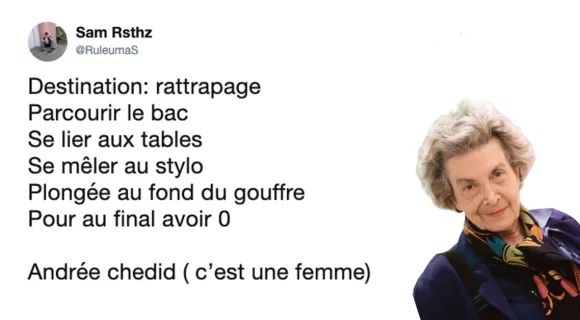 Image de couverture de l'article : Bac 2019 : Les meilleurs tweets sur l’épreuve de français