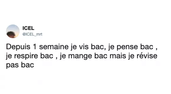 Image de couverture de l'article : Les 25 meilleurs tweets sur le bac 2019