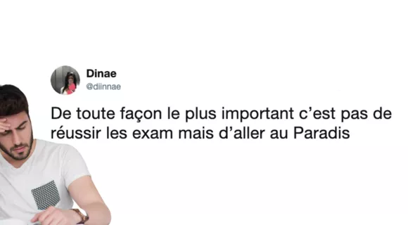 Image de couverture de l'article : Les 18 meilleurs tweets sur les révisions d’exams