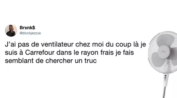 Image de couverture de l'article : Les 10 meilleurs tweets sur le ventilateur, le meilleur ami et confident de l’été !