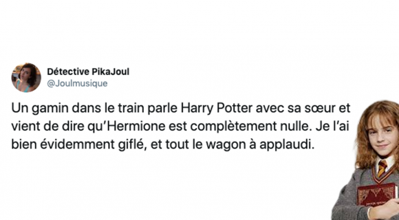 Image de couverture de l'article : Sélection spéciale Hermione Granger : les meilleurs tweets !