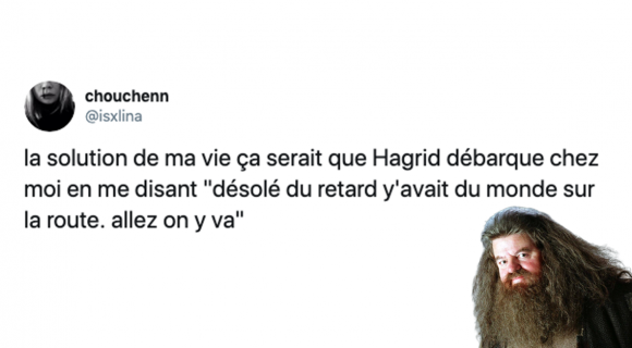 Image de couverture de l'article : Les 18 meilleurs tweets sur Hagrid, ce géant incompris !