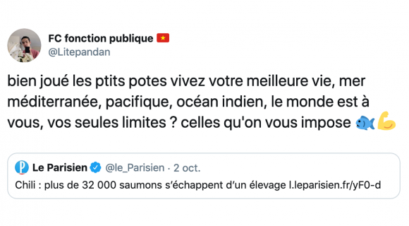 Image de couverture de l'article : Le Comptwoir du 3 octobre 2019 : les meilleurs tweets