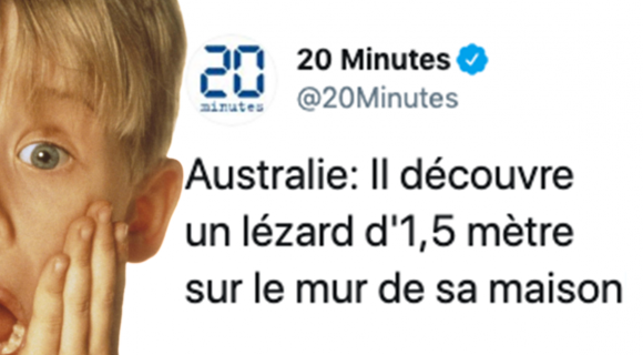 Image de couverture de l'article : Les 10 meilleurs tweets sur l’Australie, le pays de tous les dangers !