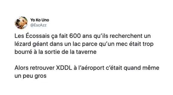 Image de couverture de l'article : La fausse arrestation de Xavier Dupont de Ligonnès !