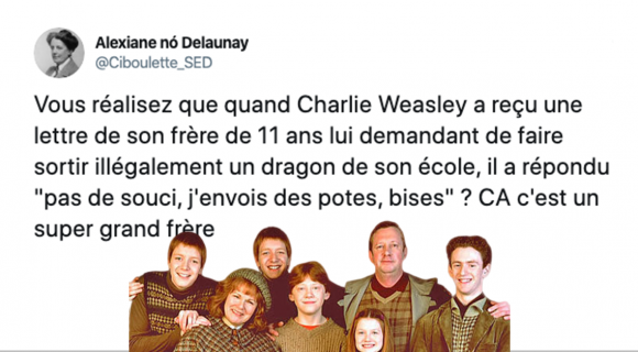 Image de couverture de l'article : Les 15 meilleurs tweets sur les Weasley, une famille de sorciers pas comme les autres !