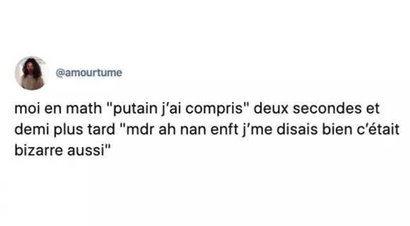 Image de couverture de l'article : Les 20 meilleurs tweets sur les maths, bon qui y comprend quelque chose ?