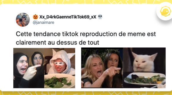 Image de couverture de l'article : Thread : Recréer un mème en vidéo, la nouvelle mode Tik Tok !