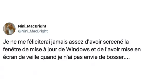 Image de couverture de l'article : Le Comptwoir du 26 octobre 2019 : les meilleurs tweets