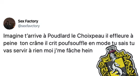 Image de couverture de l'article : Les 13 meilleurs tweets sur Poufsouffle, la maison que personne ne prend au sérieux.