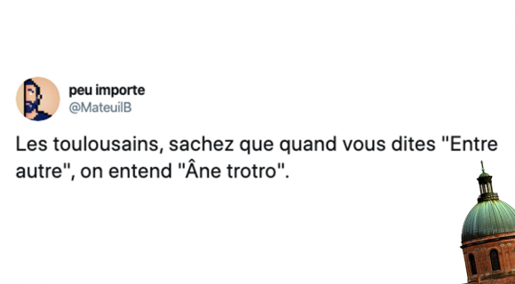 Image de couverture de l'article : Sélection spéciale Toulouse et les toulousains : les meilleurs tweets !