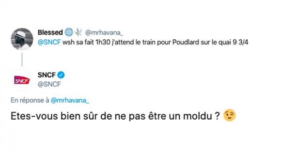 Image de couverture de l'article : Les 15 meilleurs tweets sur les moldus, pas de magie dans votre vie !