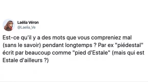 Image de couverture de l'article : Ces mots dont on ne découvre la véritable orthographe que tardivement !