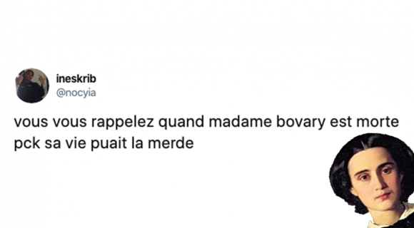 Image de couverture de l'article : Les 15 meilleurs tweets sur Madame Bovary, quelle joie de vivre !