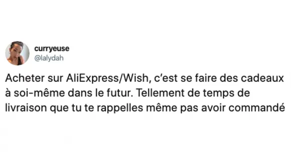 Image de couverture de l'article : Les 15 meilleurs tweets sur Wish, le site des produits bizarres !