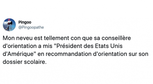 Image de couverture de l'article : Les 15 meilleurs tweets sur la conseillère d’orientation, mais à quoi elle sert ?