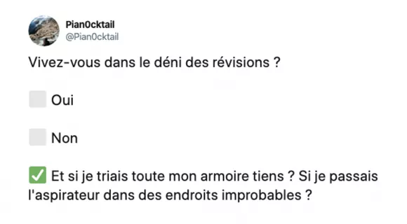 Image de couverture de l'article : Les 20 meilleurs tweets sur les révisions, sah quel déplaisir !