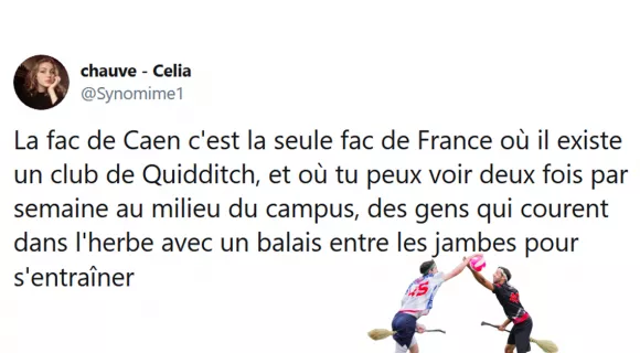 Image de couverture de l'article : Sélection spéciale Quidditch : les meilleurs tweets !